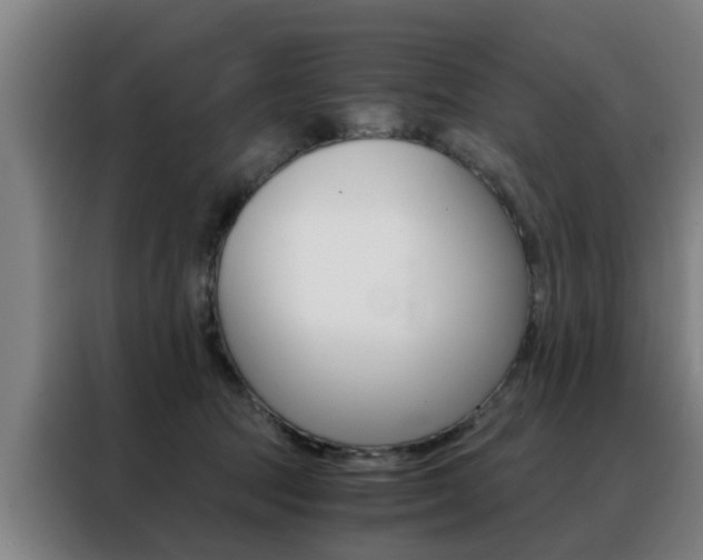 X0000088440369200705220919