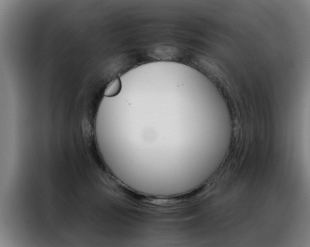 X0000088440371200705220919