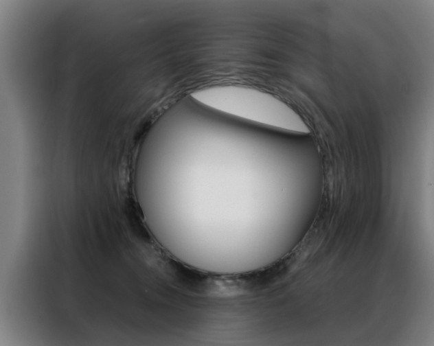 X0000088440372200705220919