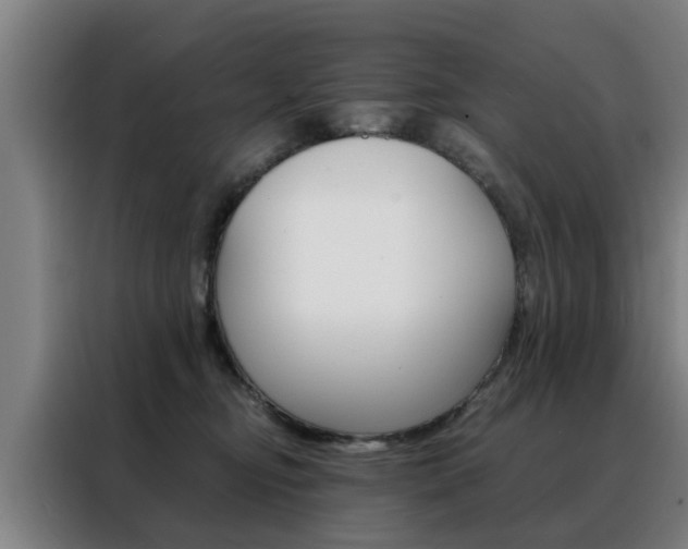 X0000088440374200705220919