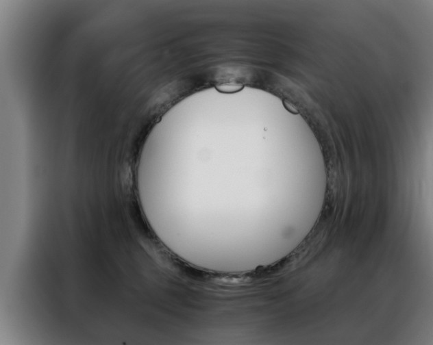 X0000088440375200705220919