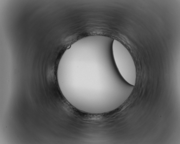X0000088440377200705220919