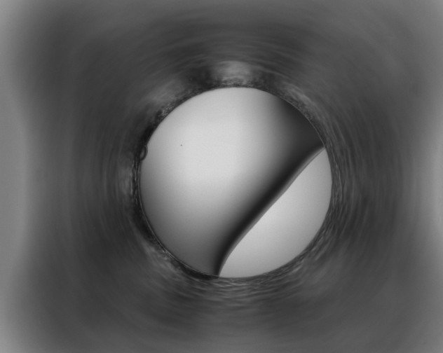 X0000088440379200705220919