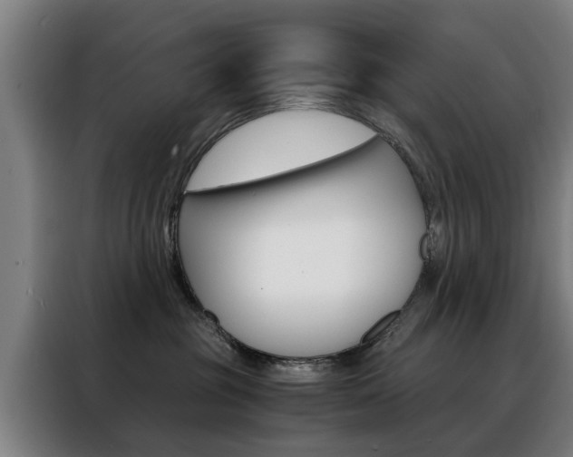 X0000088440381200705220919