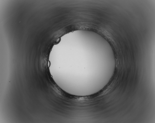X0000088440382200705220920