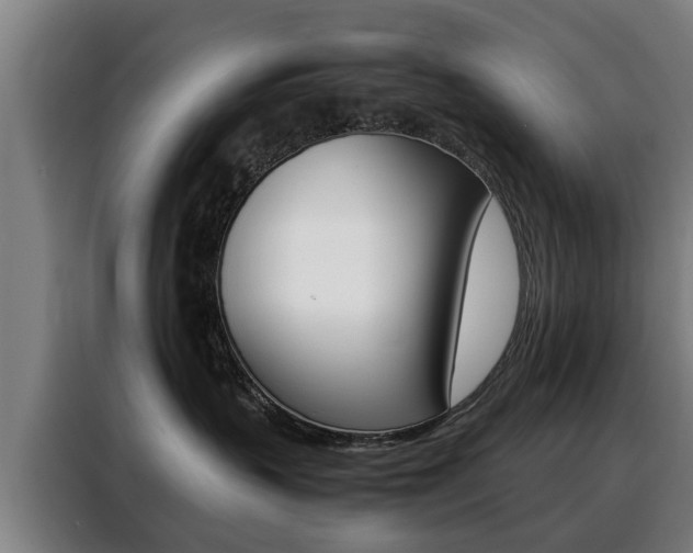 X0000088440383200705220920