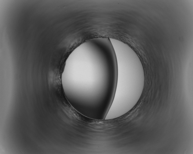 X0000088440384200705220920
