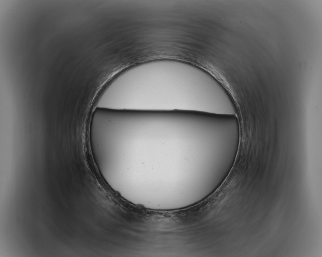 X0000088440386200705220919