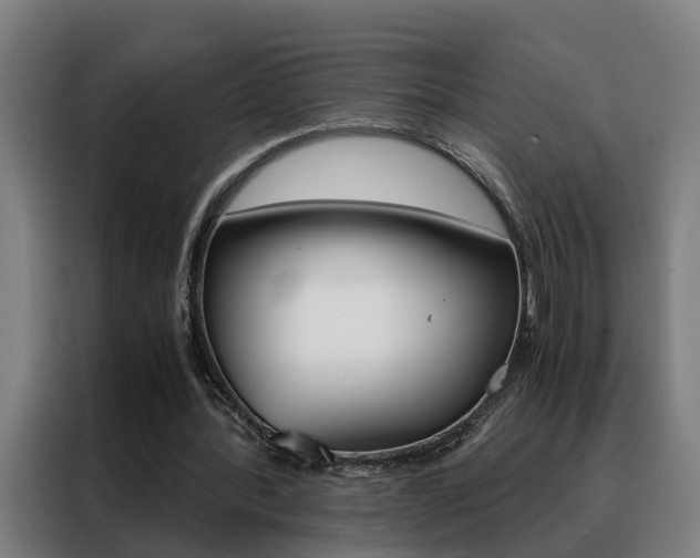 X0000088440388200705220919