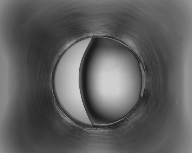 X0000088440389200705220919