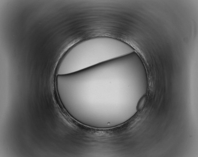 X0000088440390200705220919