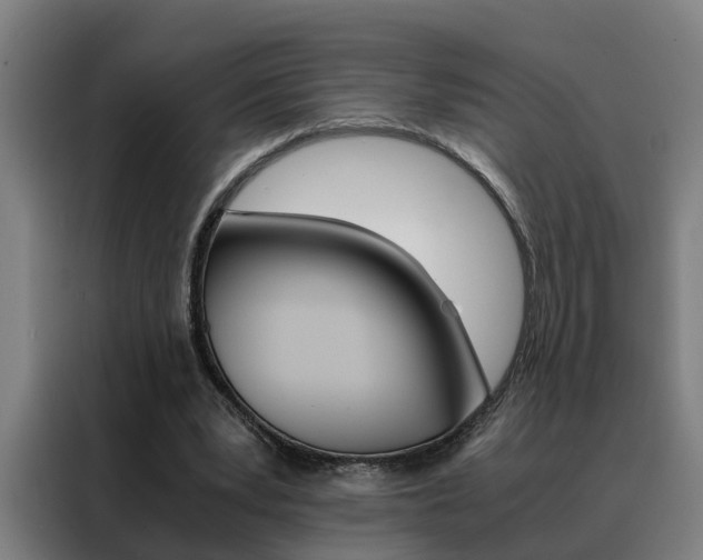X0000088440391200705220919