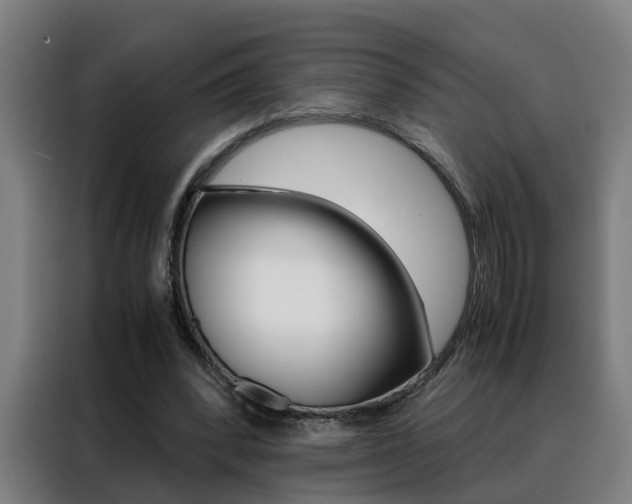 X0000088440392200705220919