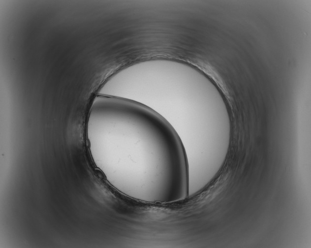 X0000088440393200705220919