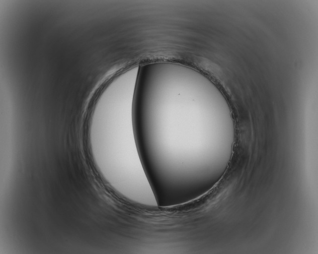 X0000088440395200705220919