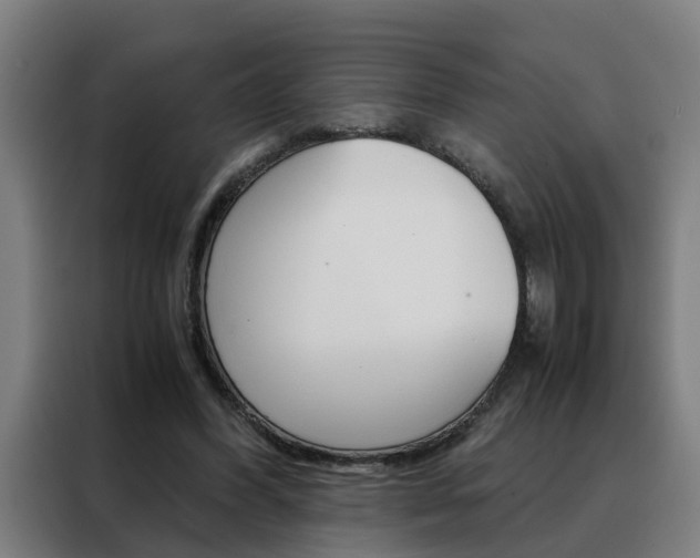 X0000088440396200705220919