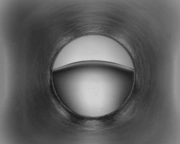 X0000088440397200705220919