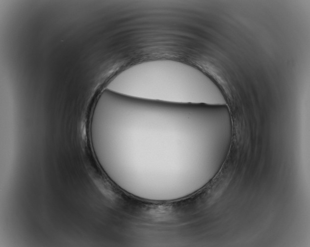 X0000088440398200705220919