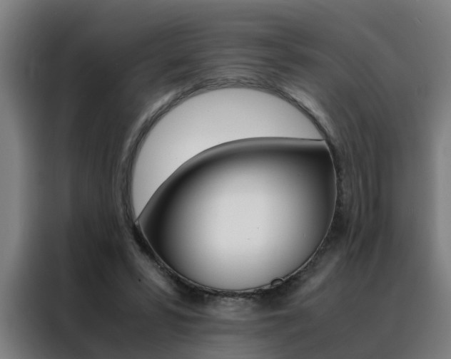 X0000088440399200705220919