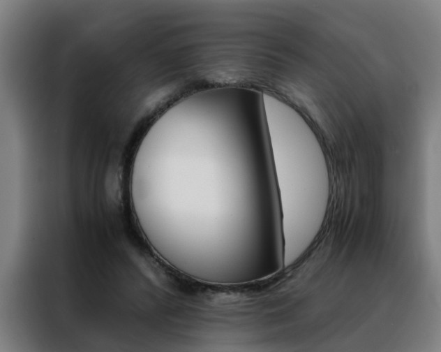 X0000088440400200705220919