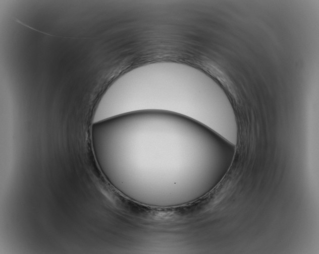X0000088440401200705220919