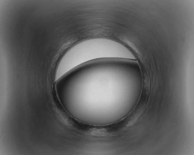 X0000088440403200705220919