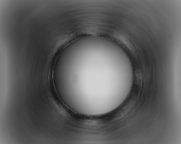 X0000088440404200705220919