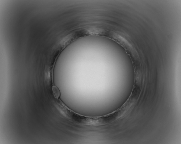 X0000088440405200705220919