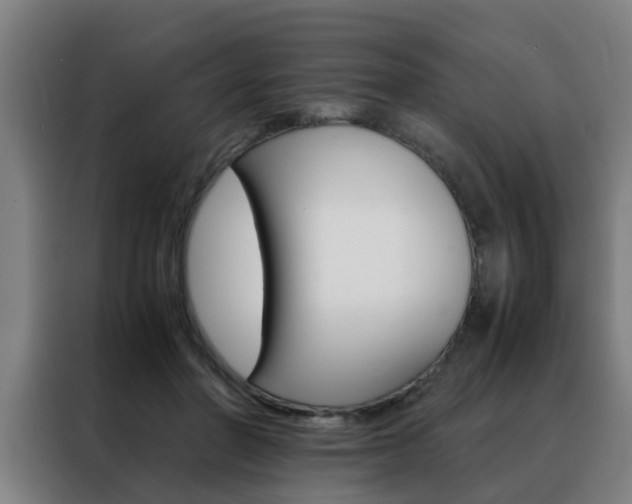 X0000088440406200705220919