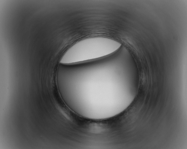 X0000088440408200705220919