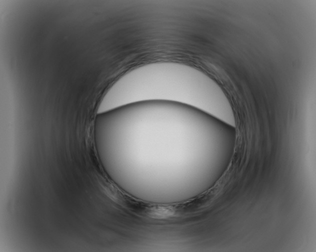 X0000088440409200705220919
