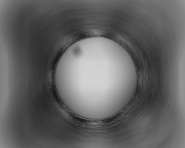 X0000088440410200705220919