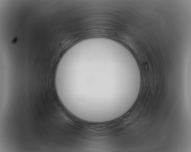X0000088440411200705220919