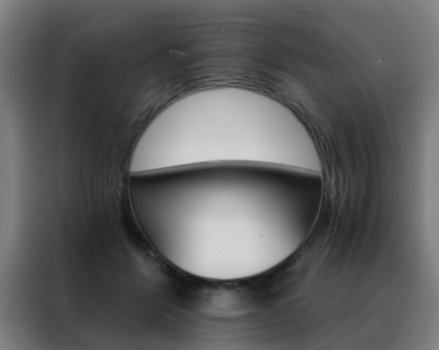 X0000088440412200705220919