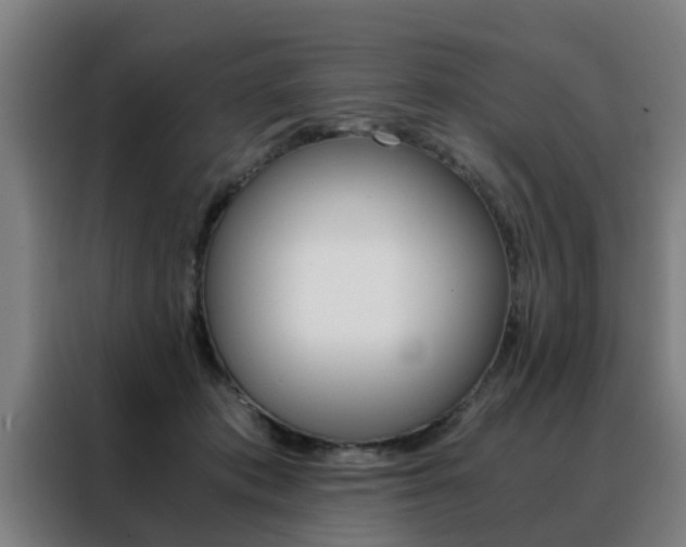 X0000088440413200705220919
