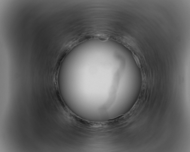 X0000088440415200705220919