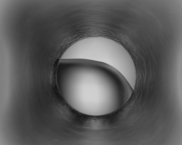 X0000088440416200705220918