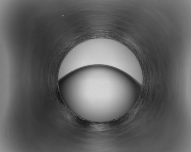 X0000088440417200705220918