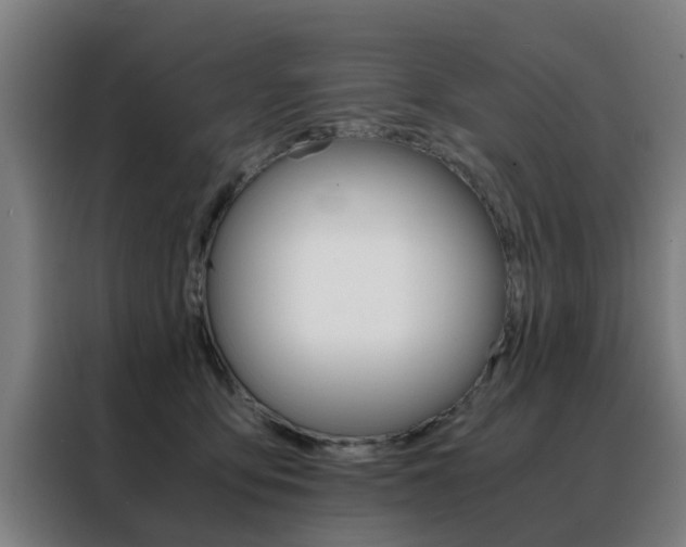 X0000088440419200705220918