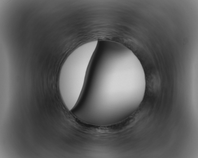 X0000088440420200705220918