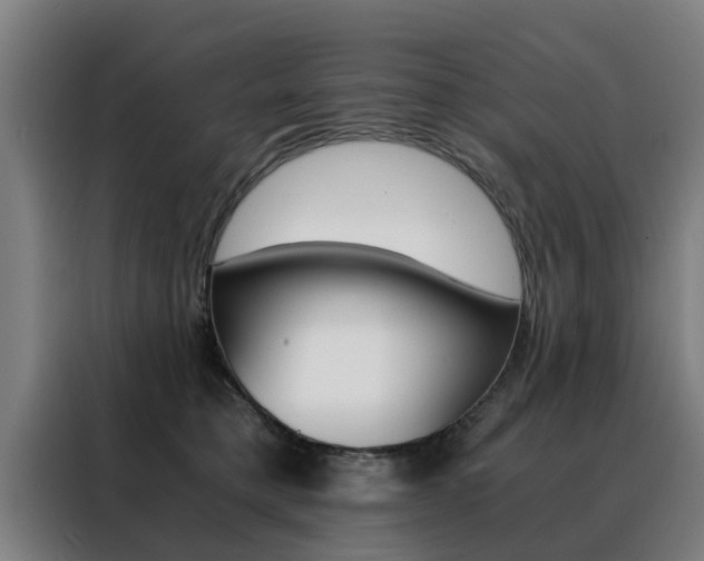 X0000088440421200705220918