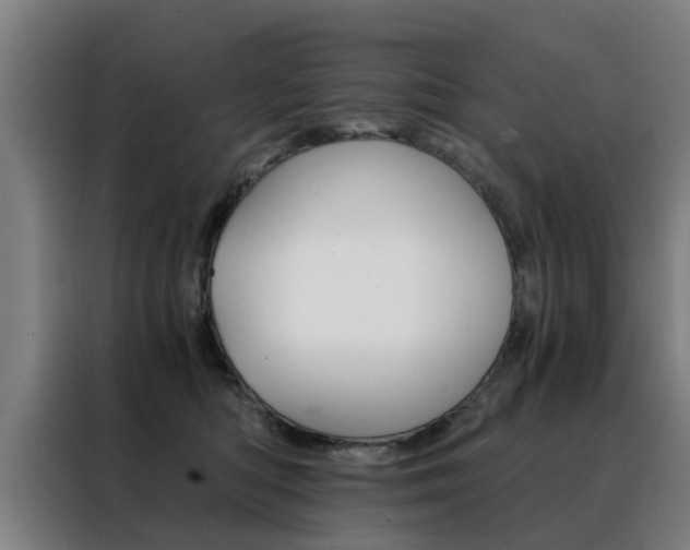 X0000088440422200705220918