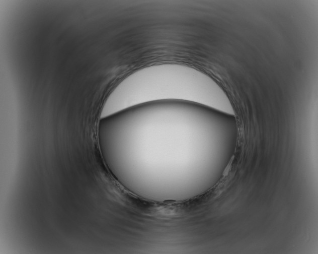 X0000088440423200705220918
