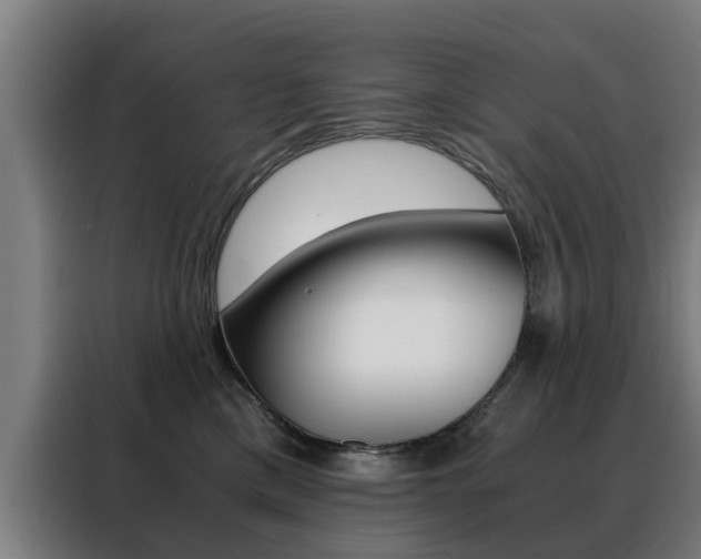 X0000088440425200705220918