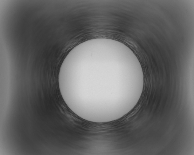 X0000088440429200705220918