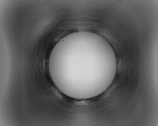 X0000088440430200705220918