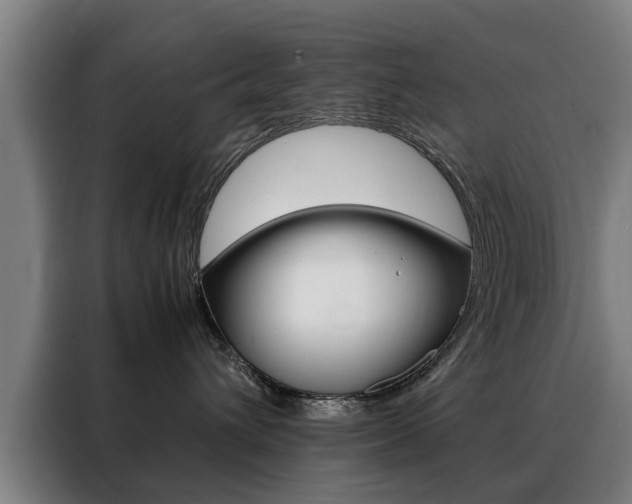 X0000088440432200705220918