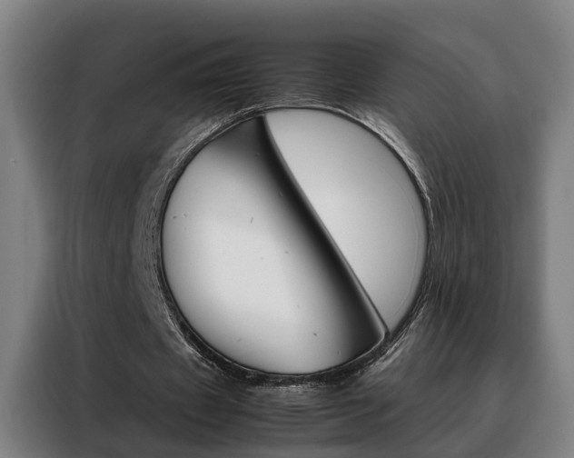 X0000088440433200705220918