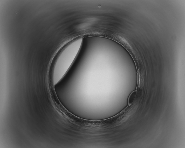 X0000088440435200705220918