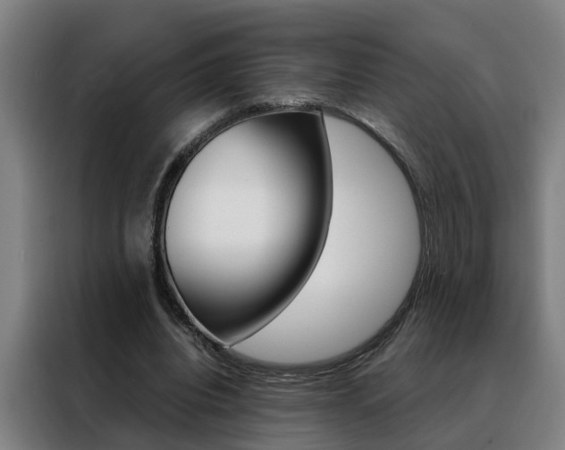 X0000088440440200705220918